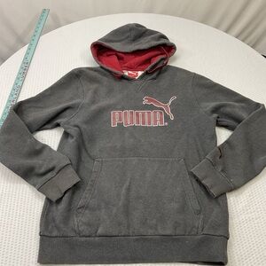 Puma Charcoal and Red Men's Hoodie